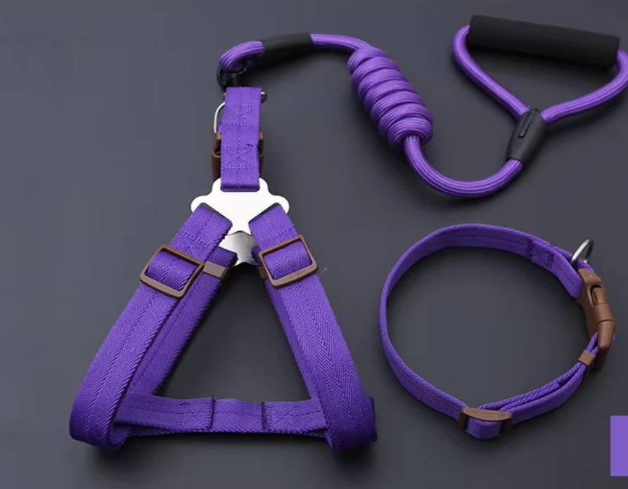 Nylon Dog Harness, Leash and Collar Set! 14-21in