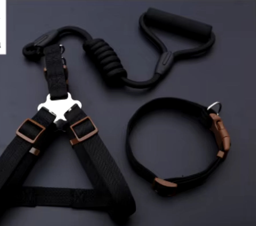 Nylon Dog Harness, Leash and Collar Set! 14-21in