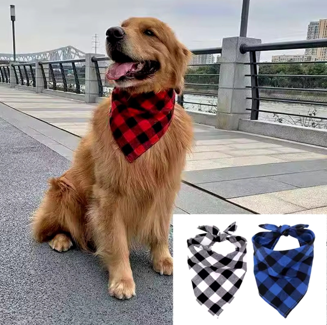 Fall bandanas