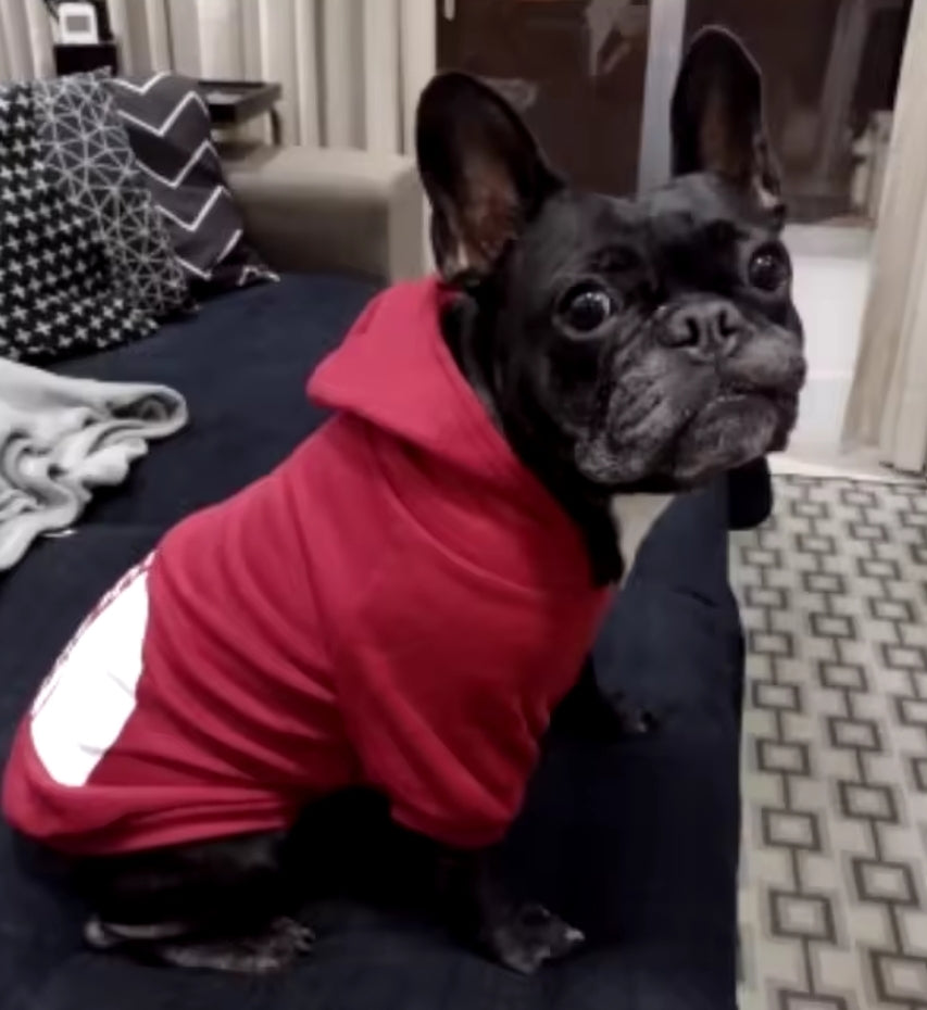 Dog Fa ce Hoodie this 9x fits smaller aprox 55lb for grey 70 for pink