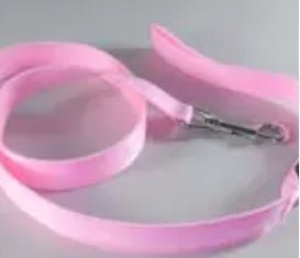 LED Leashes