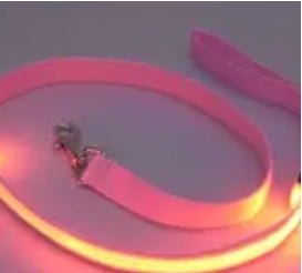 LED Leashes