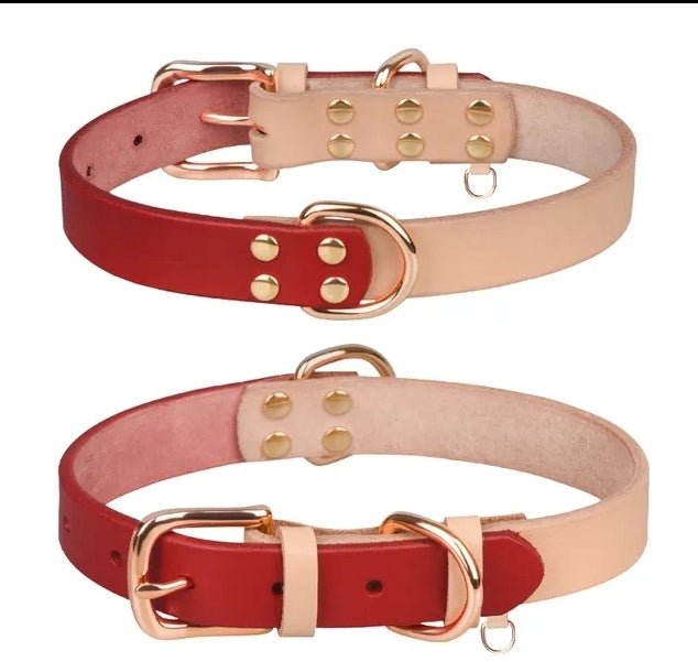 Leather Dog Collar