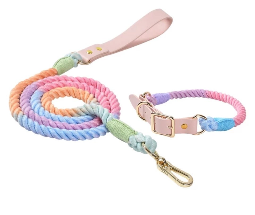 Colorful Leash and Collar Set