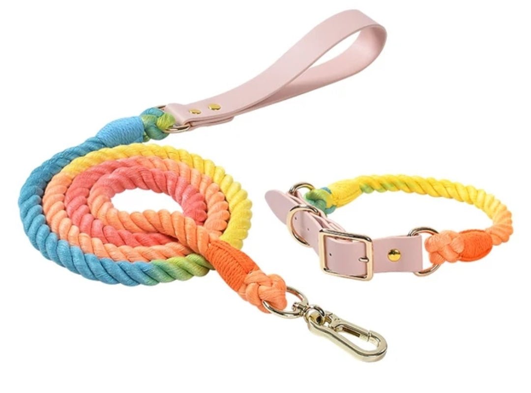 Colorful Leash and Collar Set