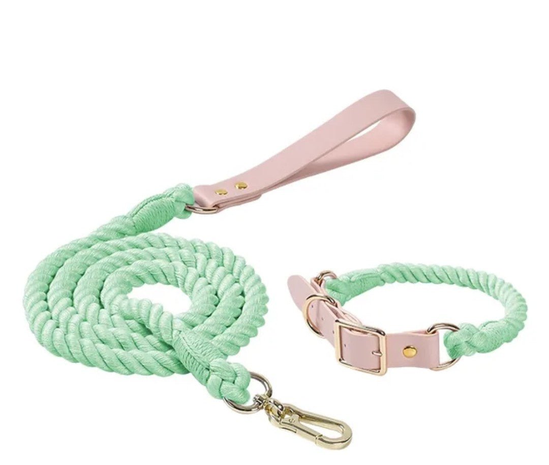 Colorful Leash and Collar Set