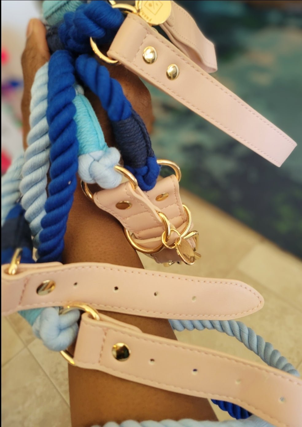 Colorful Leash and Collar Set