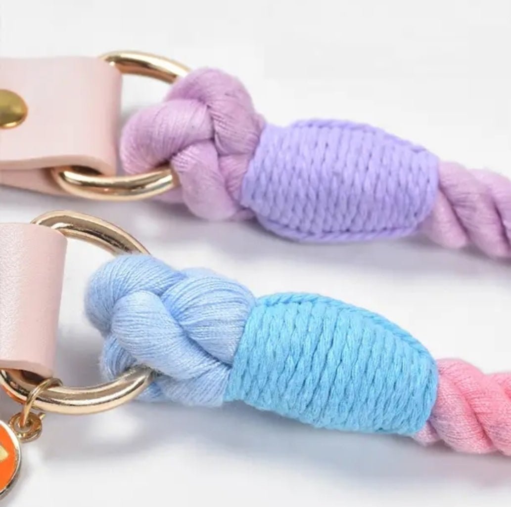 Colorful Leash and Collar Set