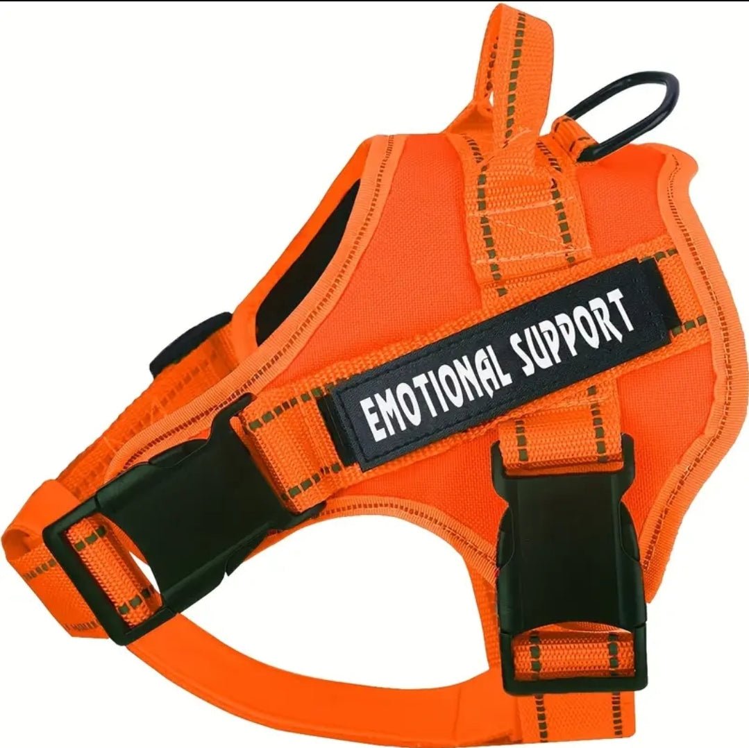 Emotional support harness