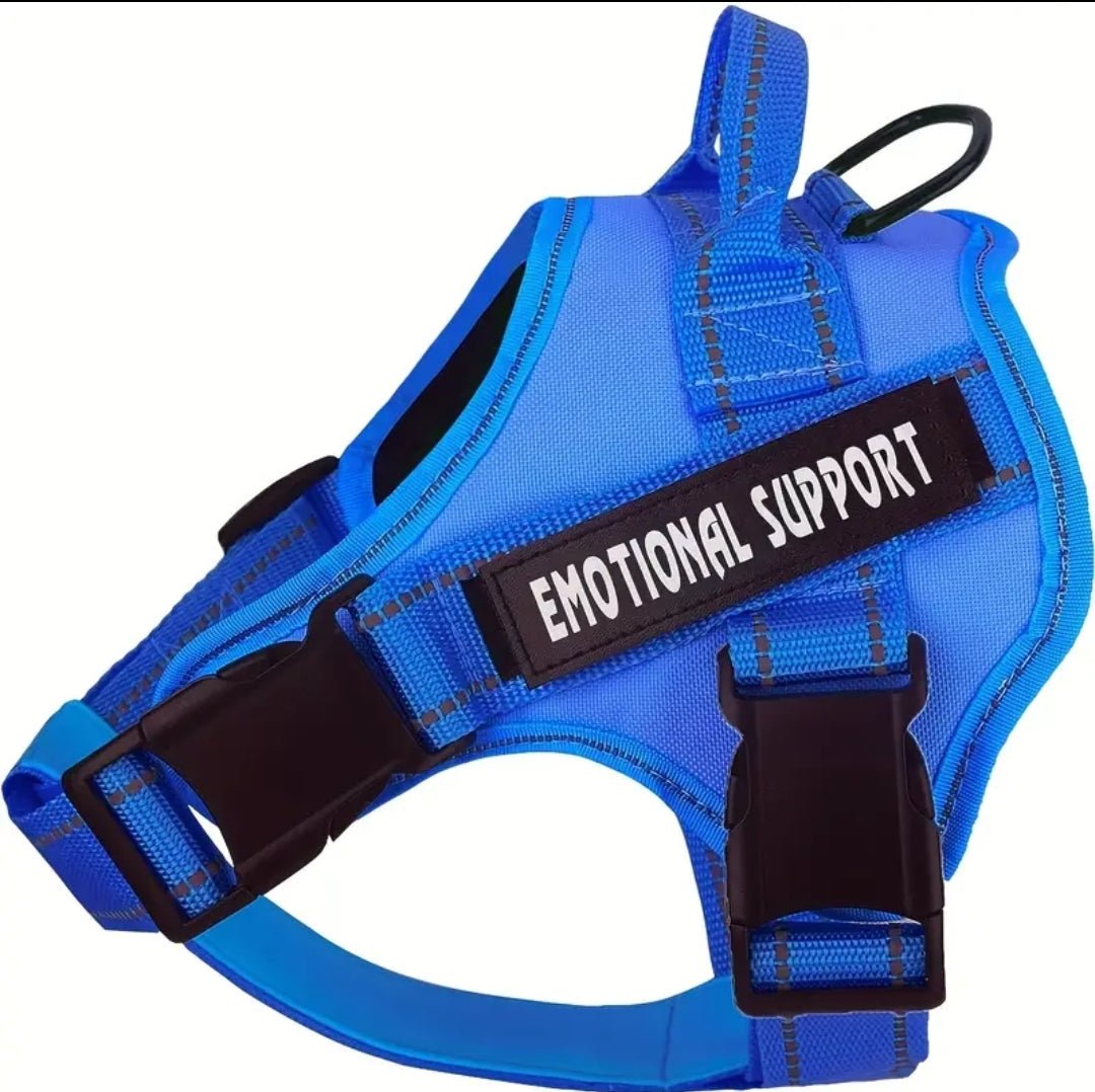 Emotional support harness