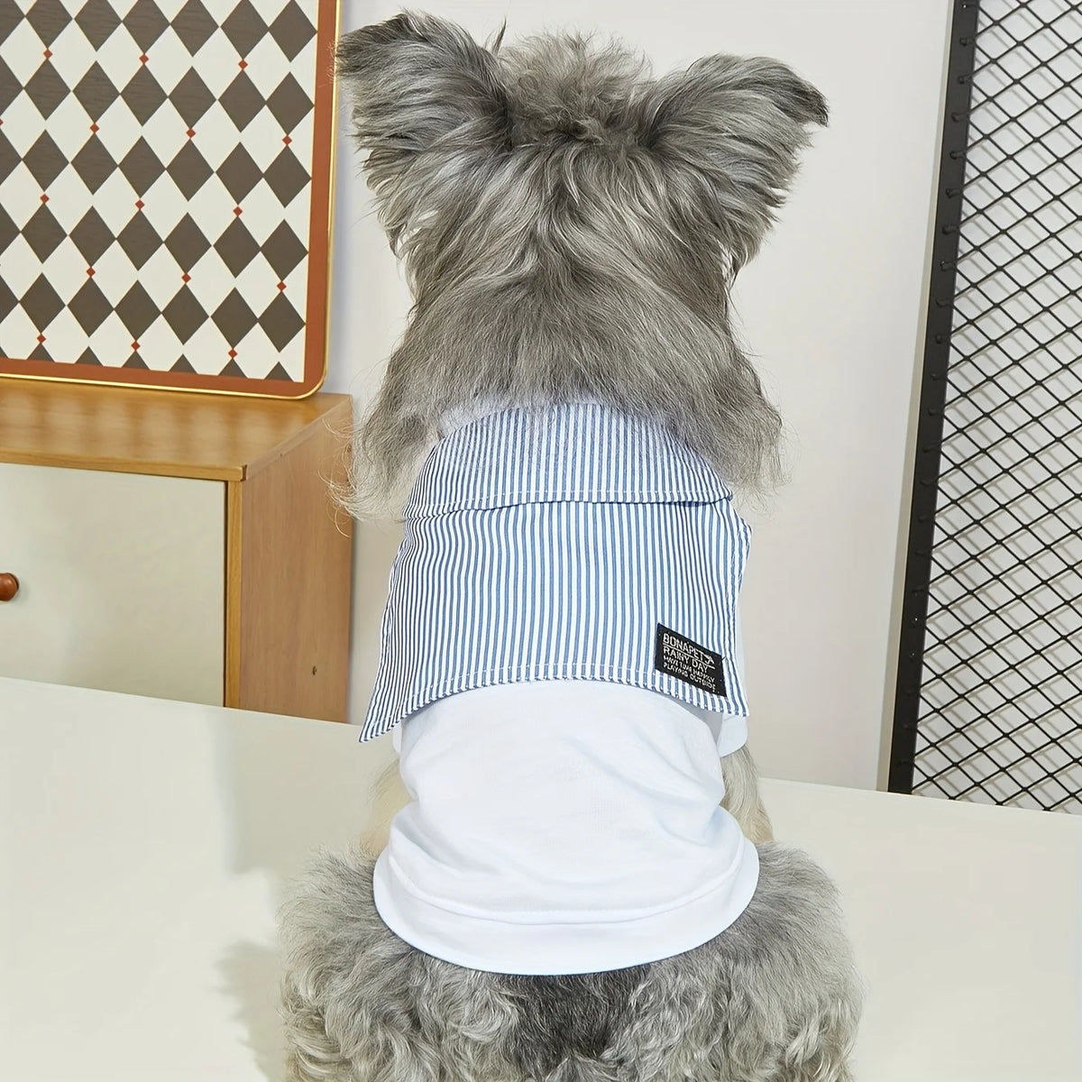 Casual Summer Dog T-Shirt