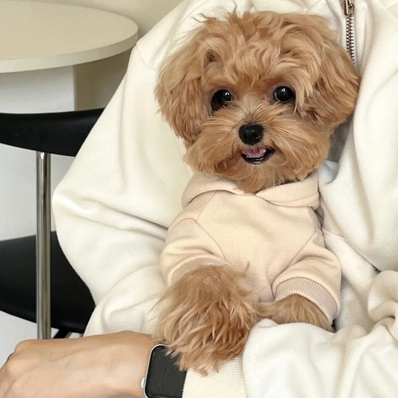 Letter Print Dog Hoodies Yorkshire