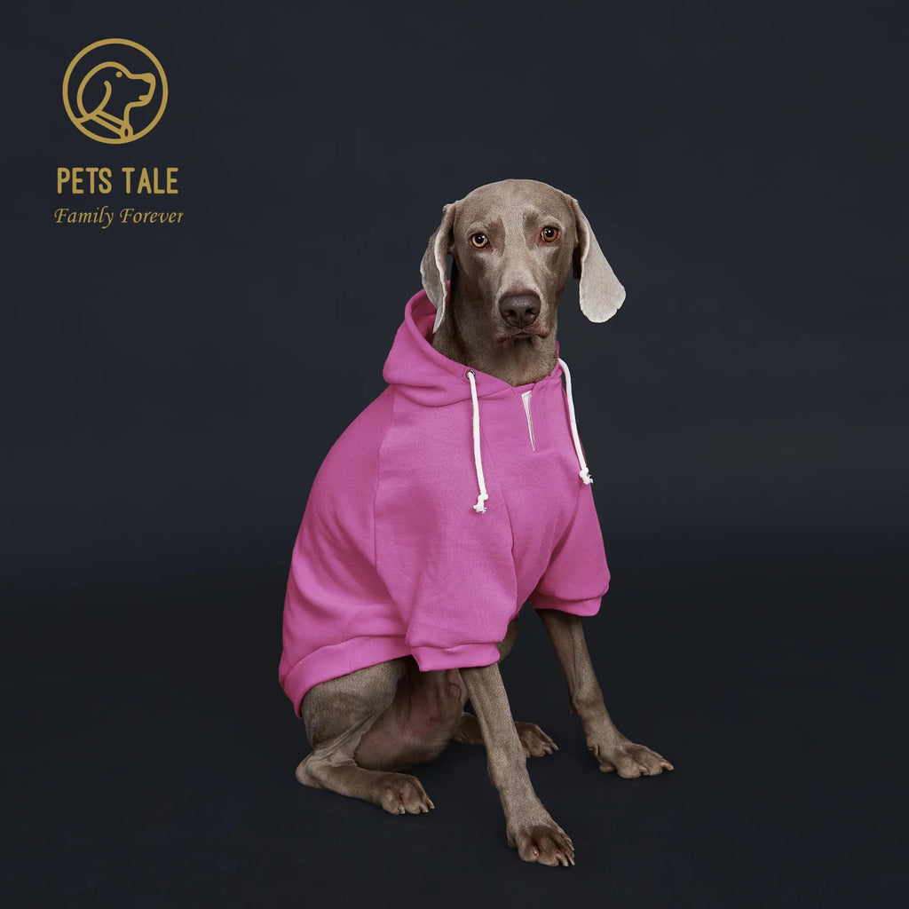 Dog Hoodie with Pocket, Leather Patch, Hook and Loop Fastener Collar -