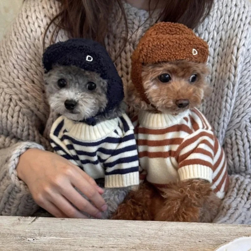 Bear Knit Dog Sweaters