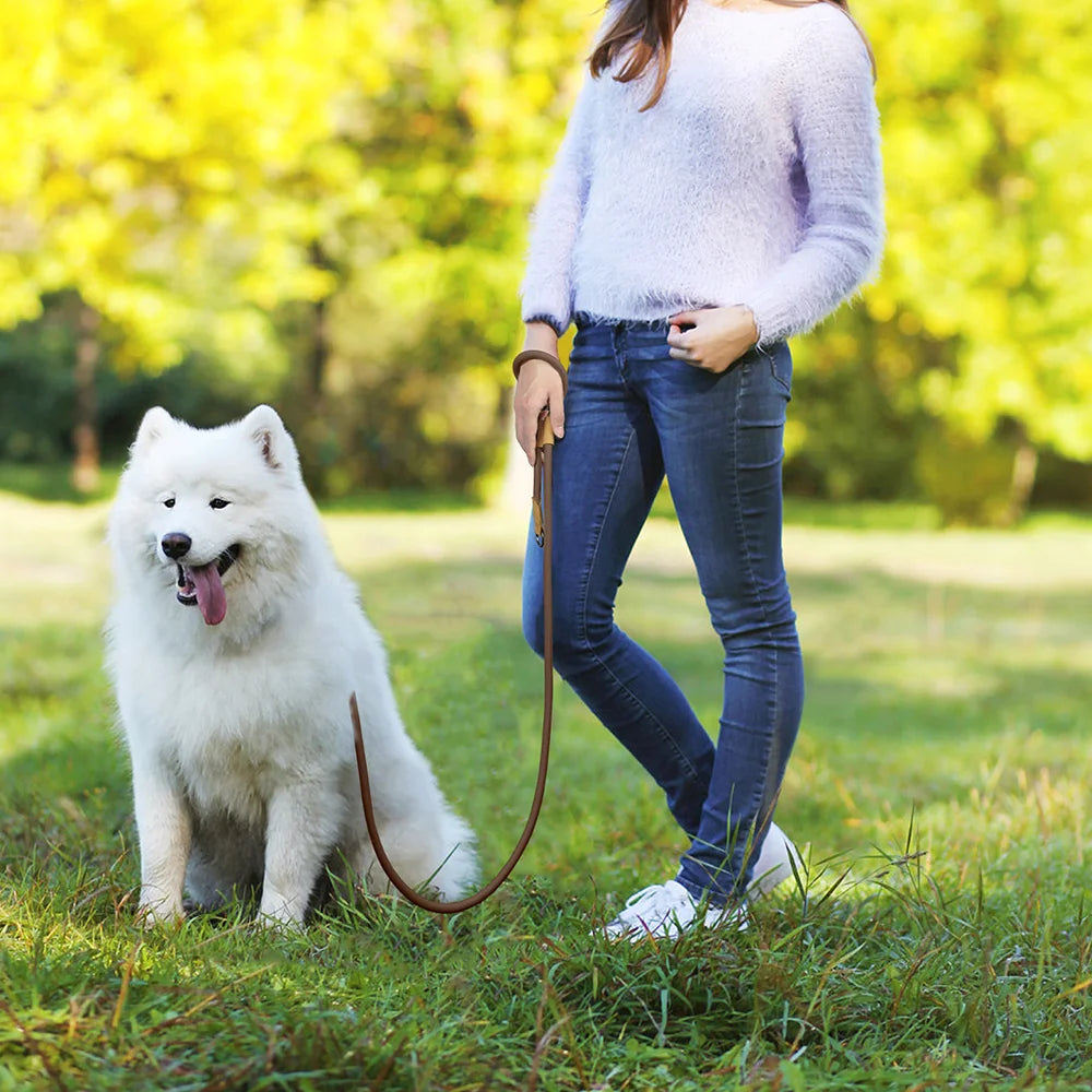 Hands-Free Running Dog Leash with Waist Belt