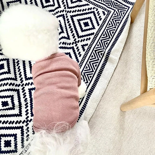 Autumn Winter Dog Shirt Soft Dog Clothes Cute Solid Puppy Bottoming Shirt Fashion Cat Vest Pet Undershirts Bichon Frise Costumes