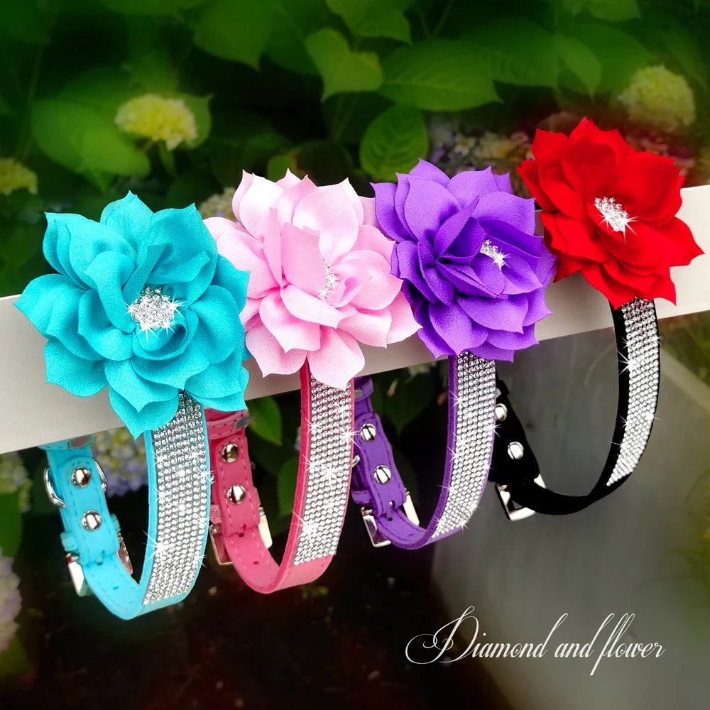 Rhinestone Dog Collar — Glitter Floral Suede Leather Collar & Optional 4ft Leash Set | Black, Blue, Pink & Purple | XS–L