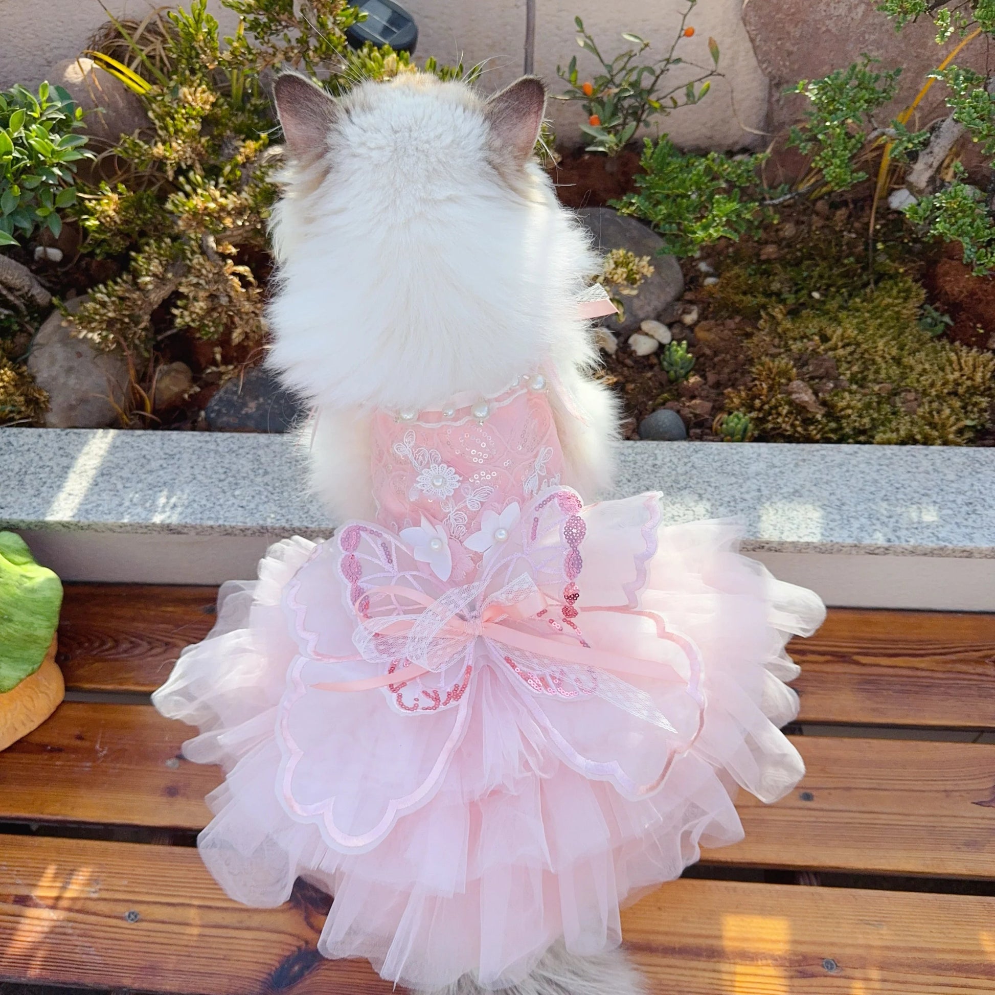 Luxury Pink Pet Dog Cat Clothes Fine Handmade Butterfly Flower Decor Lace Long Tail Cake Dresses For Small Medium Poodle Fashioned Furbabies
