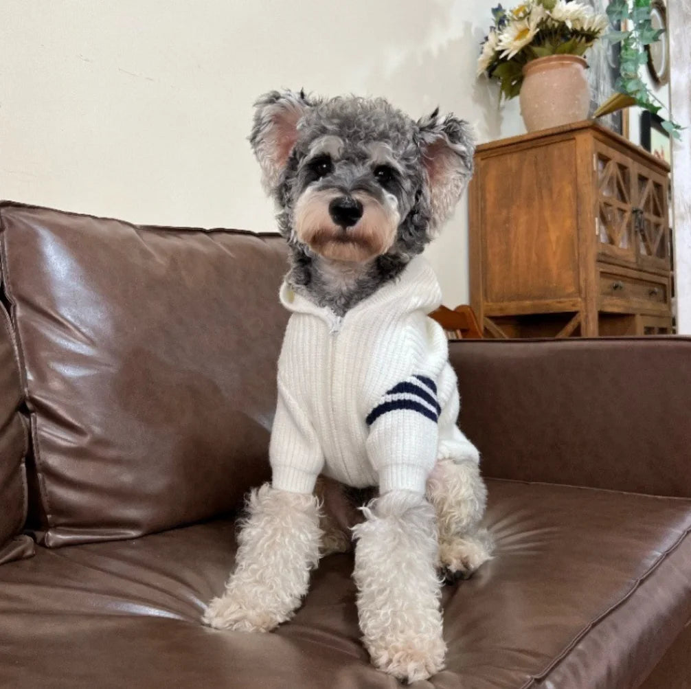 British Gentleman Knit Zipper Dog Coat — Classic Style Winter Sweater for Small Dogs | S–XXL