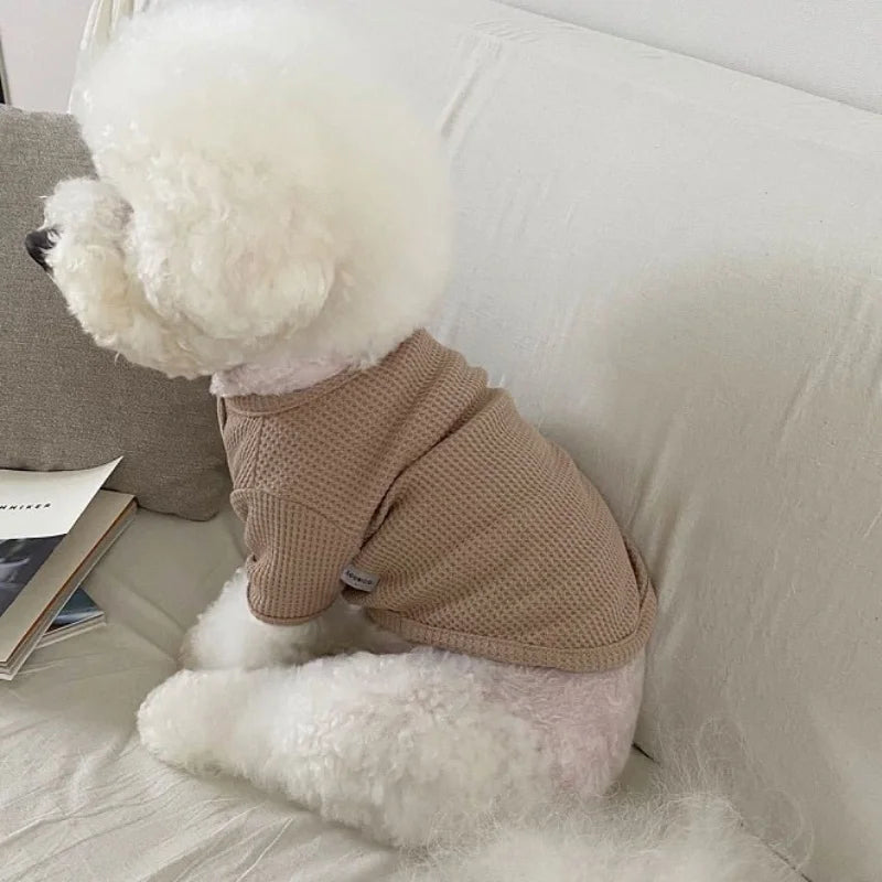 Autumn Winter Dog Shirt Soft Dog Clothes Cute Solid Puppy Bottoming Shirt Fashion Cat Vest Pet Undershirts Bichon Frise Costumes