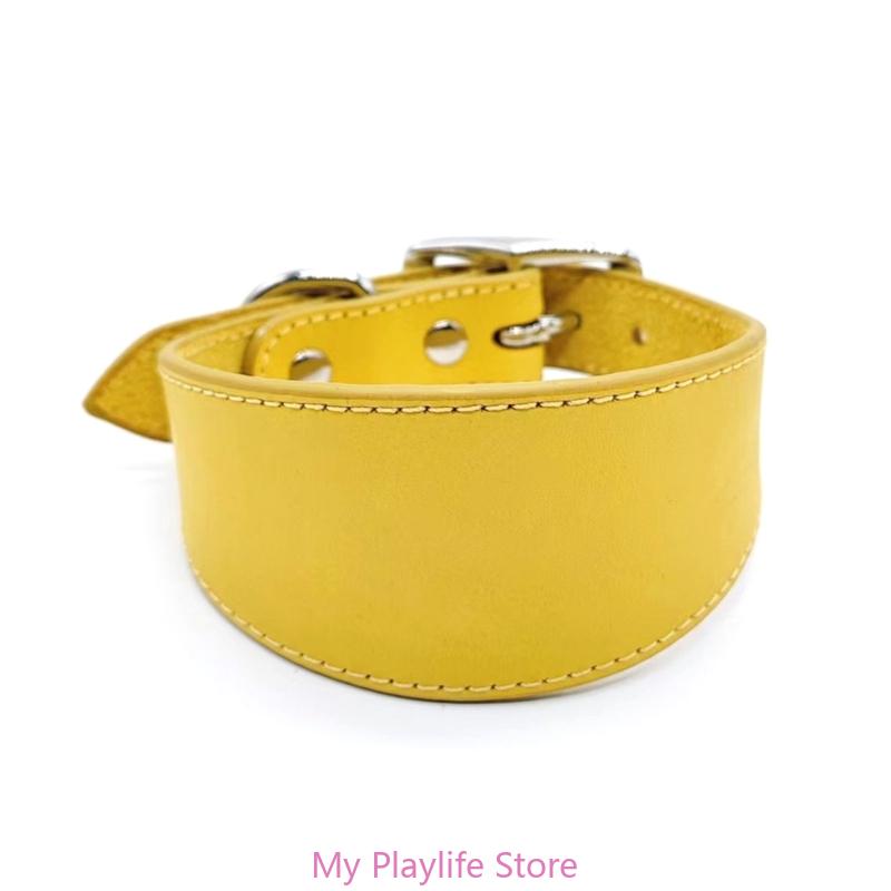 Padded Leather Sighthound Dog Collar
