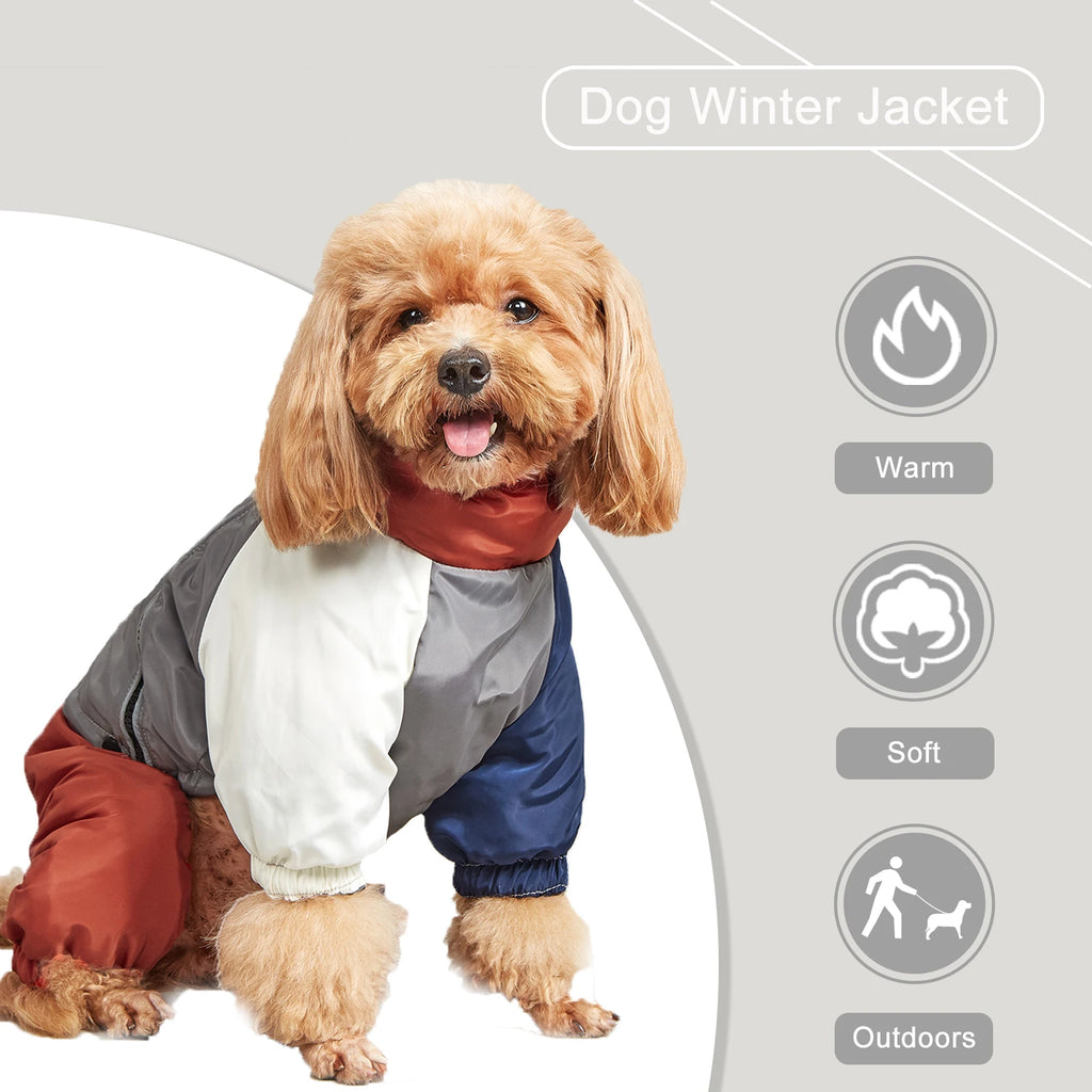 Winter Dog Jacket