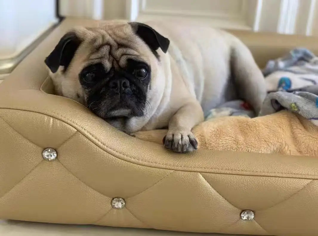 Light Luxury with Drill Dog Beds Pet Small Dog House Four Seasons Universal Dirt-resistant Waterproof Pet Supplies Home Dog Mat Fashioned Furbabies