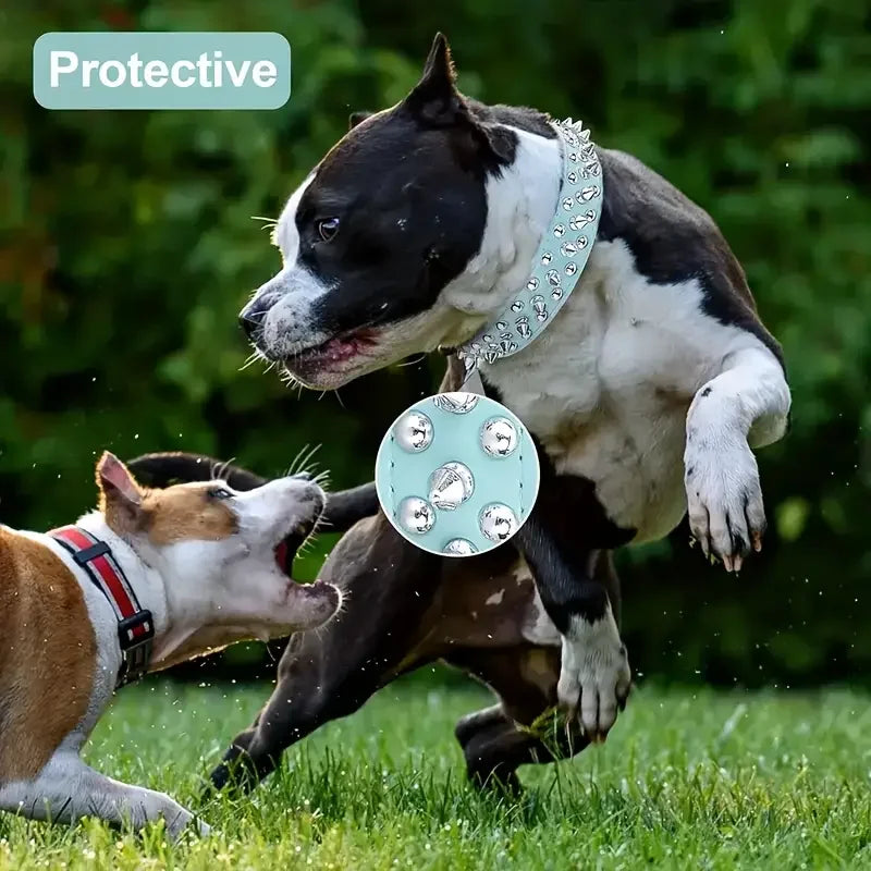 Spiked Rivet Leather Dog Collar & Leash Set | Adjustable | Outdoor Walking
