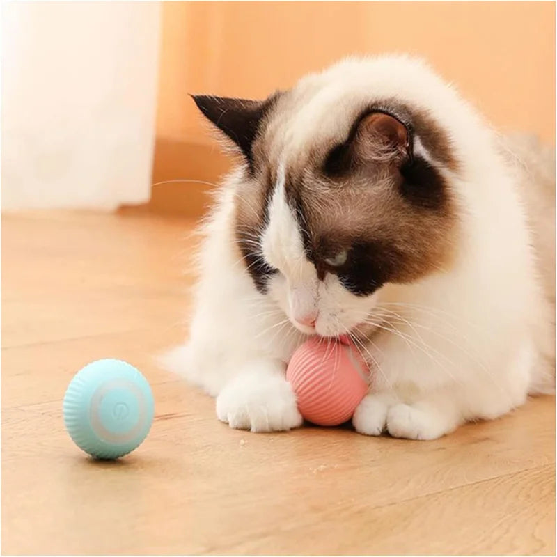 Smart Interactive Bouncing Ball Toy — USB Rechargeable Auto-Moving Ball for SmallDogs & Cats | 3-Hour Playtime | Dual Mode￼ (please observe pets when playing with this toy)