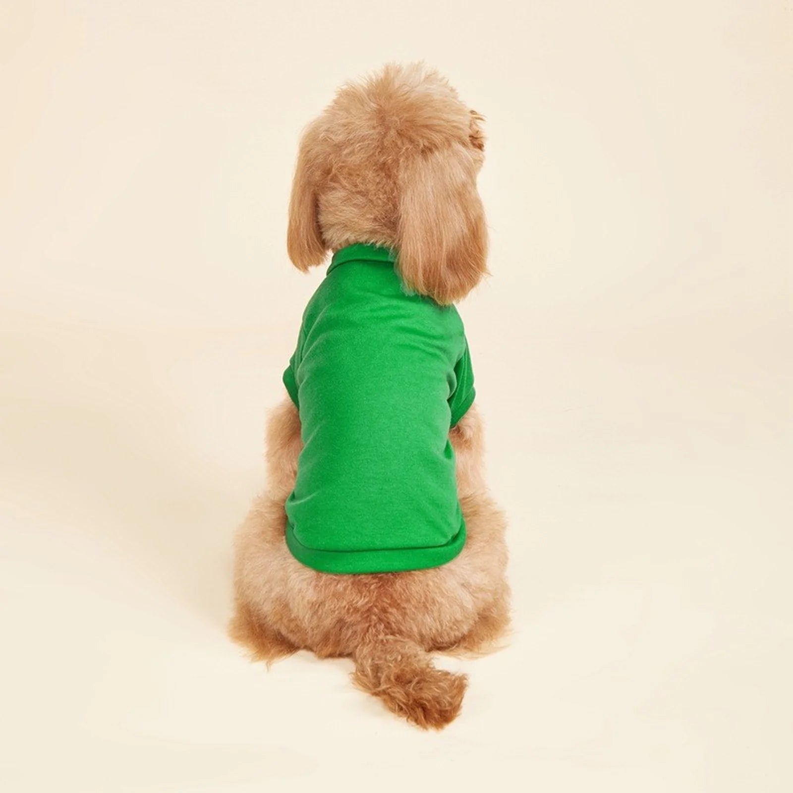 Lightweight Dog T-Shirt