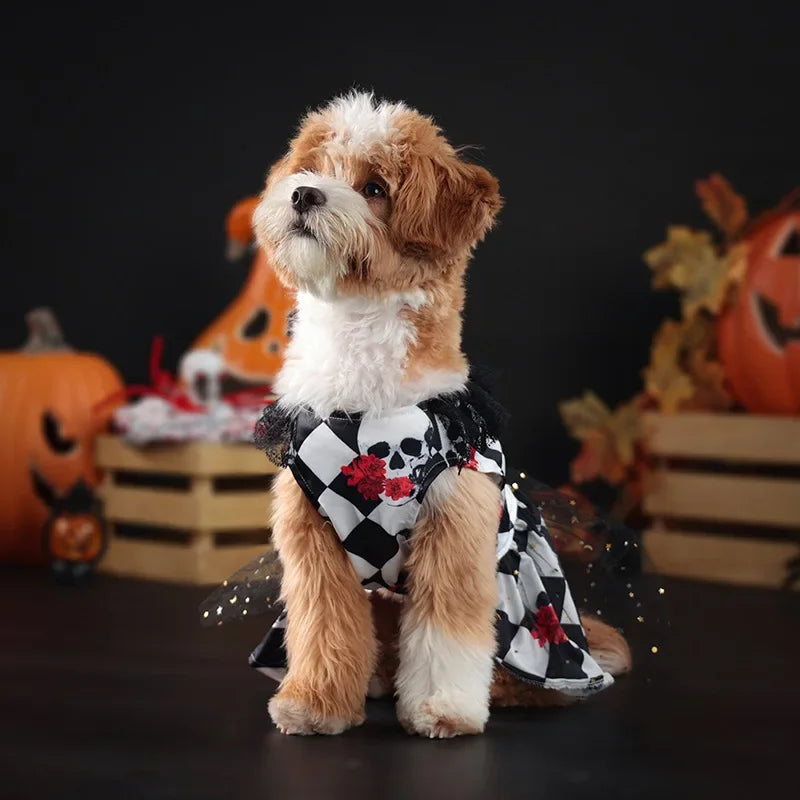 Halloween Checkered Pet Dress | Skull & Floral Costume Dress for Small & Medium Dogs S–XL
