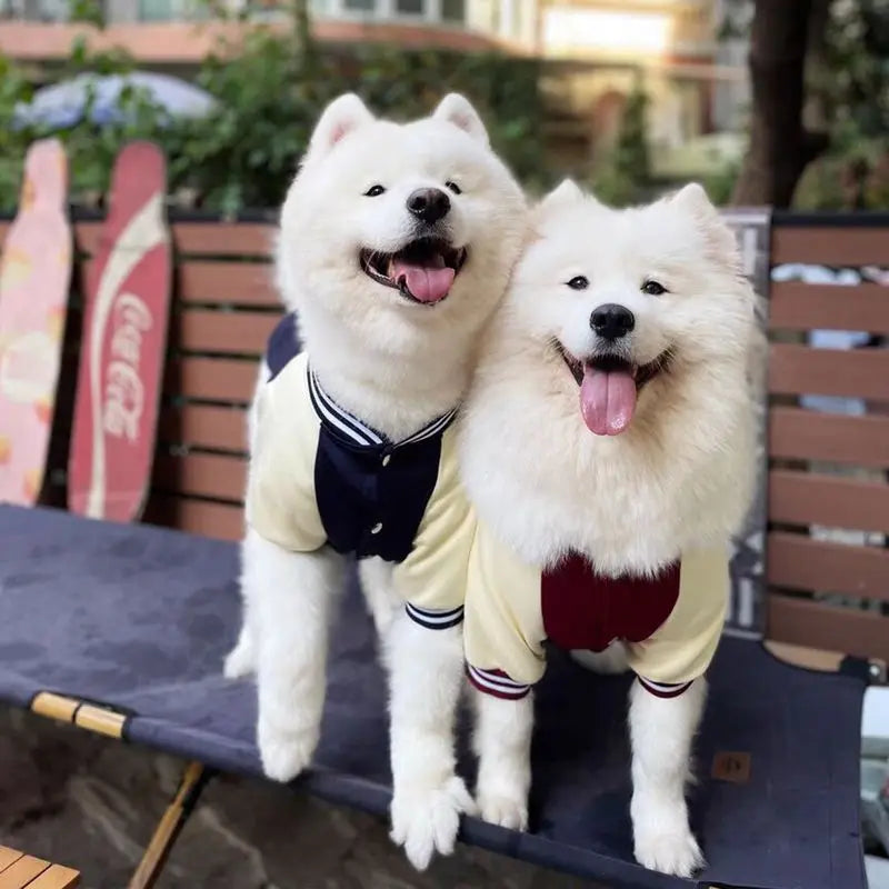 Big Dog Baseball Suit