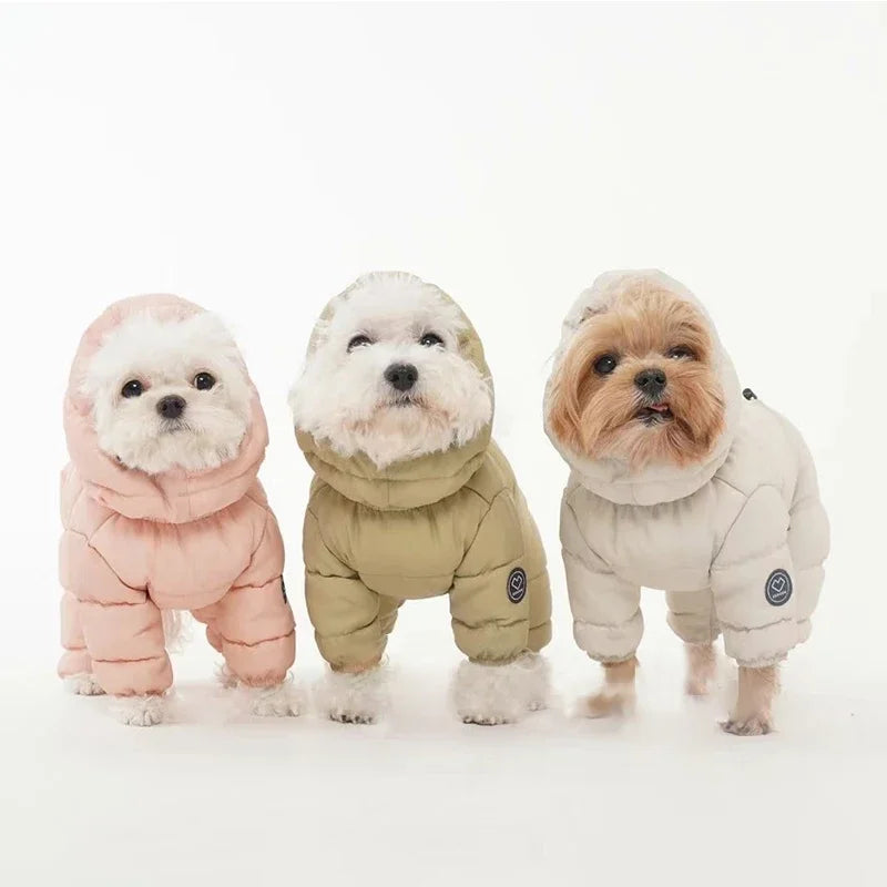 Korean Teddy Poodle Small Dog Pet Dog Winter Clothes Four Legged Coat Thick Down Cotton Jacket for Warmth and Cold Protection