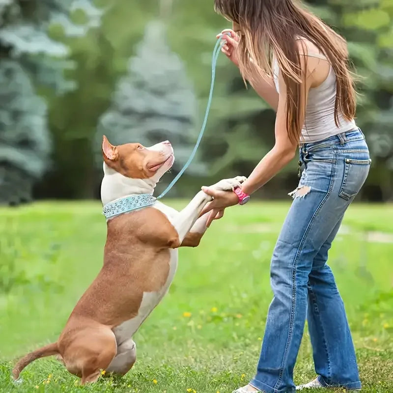 Spiked Rivet Leather Dog Collar & Leash Set | Adjustable | Outdoor Walking