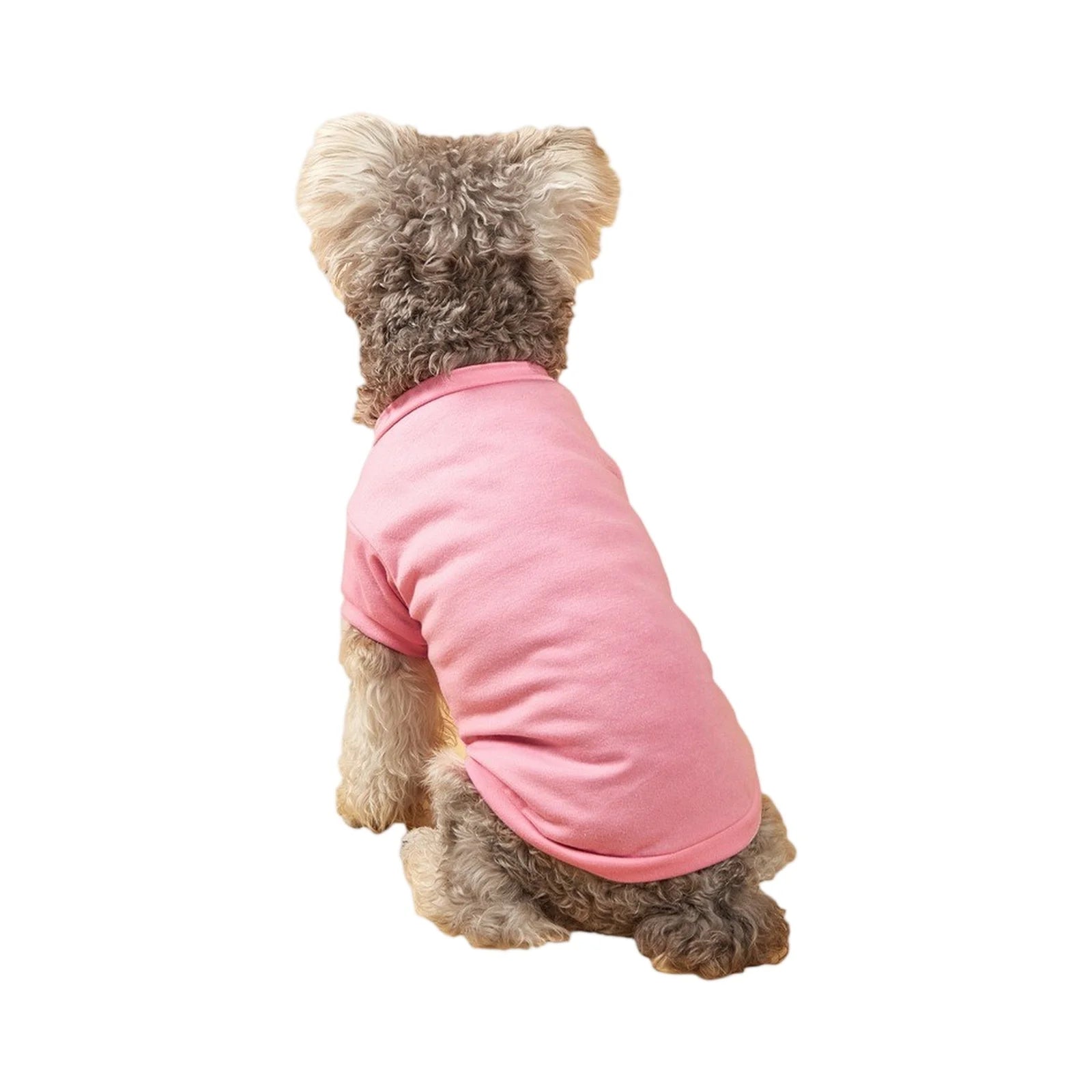 Lightweight Dog T-Shirt