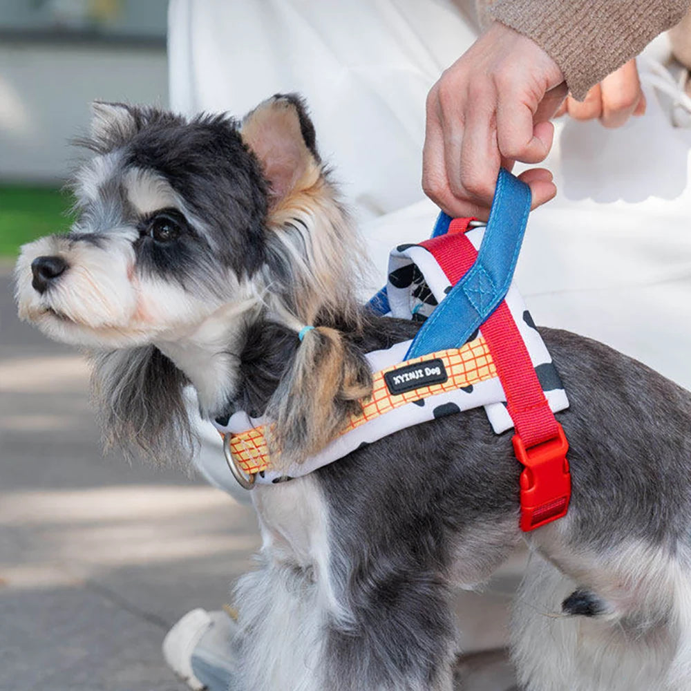 Plaid Saddle-Style Puppy Harness & Leash Set