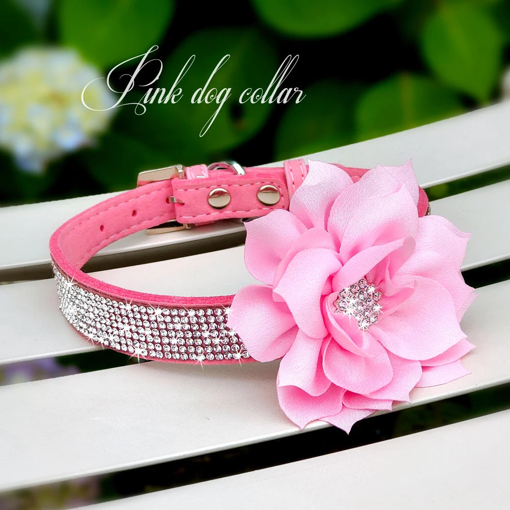 Rhinestone Dog Collar — Glitter Floral Suede Leather Collar & Optional 4ft Leash Set | Black, Blue, Pink & Purple | XS–L