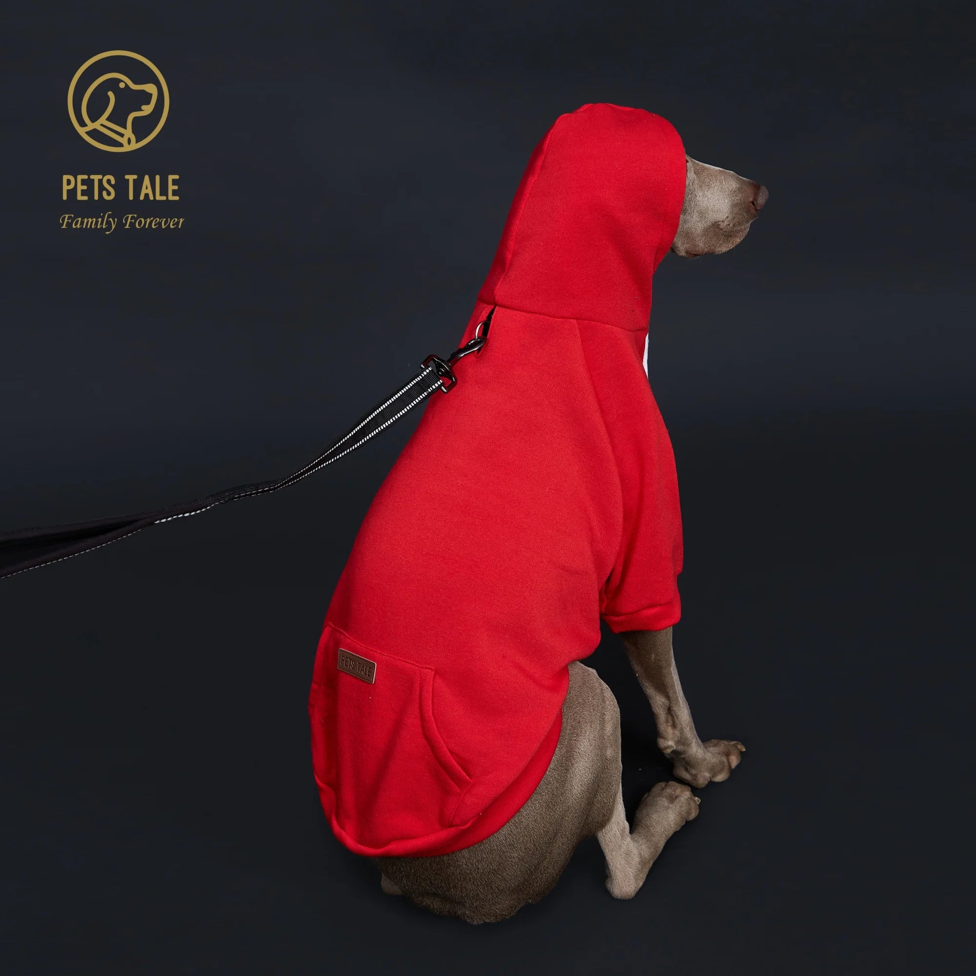 Dog Hoodie with Pocket, Leather Patch, Hook and Loop Fastener Collar -