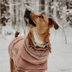 Reflective Dog Down Jacket - Winter Snowsuit for Large Breeds