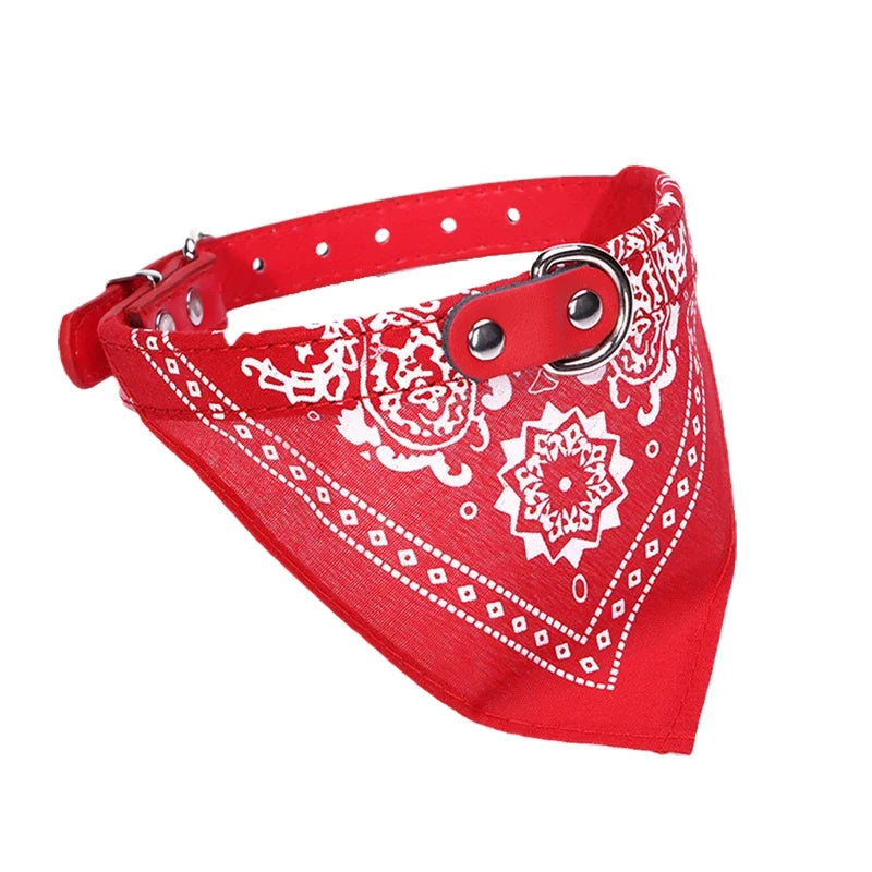 Dog & Cat Collar with Scarf | Adjustable PU Collar | XS–XL