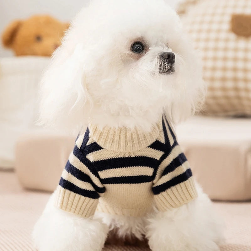 Bear Knit Dog Sweaters