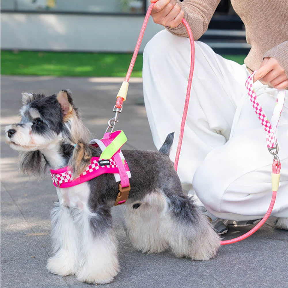 Plaid Saddle-Style Puppy Harness & Leash Set