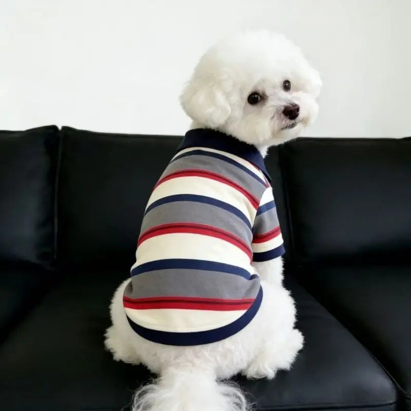 Summer Short-Sleeve Dog Vest & T-Shirt — Breathable Cooling Wear for Dogs | S–3XL