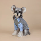 Cute Gray Pet Spring Autumn Dog Clothes Knitted Dog Cat Vest With Shirts 2 Pcs Clothing Set Fashioned Furbabies