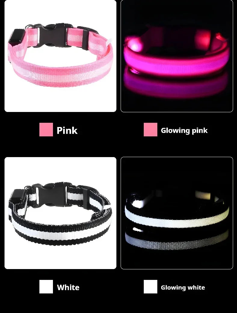 LED Glow Dog Collar & Leash | Nylon Night Safety Flashing Collar