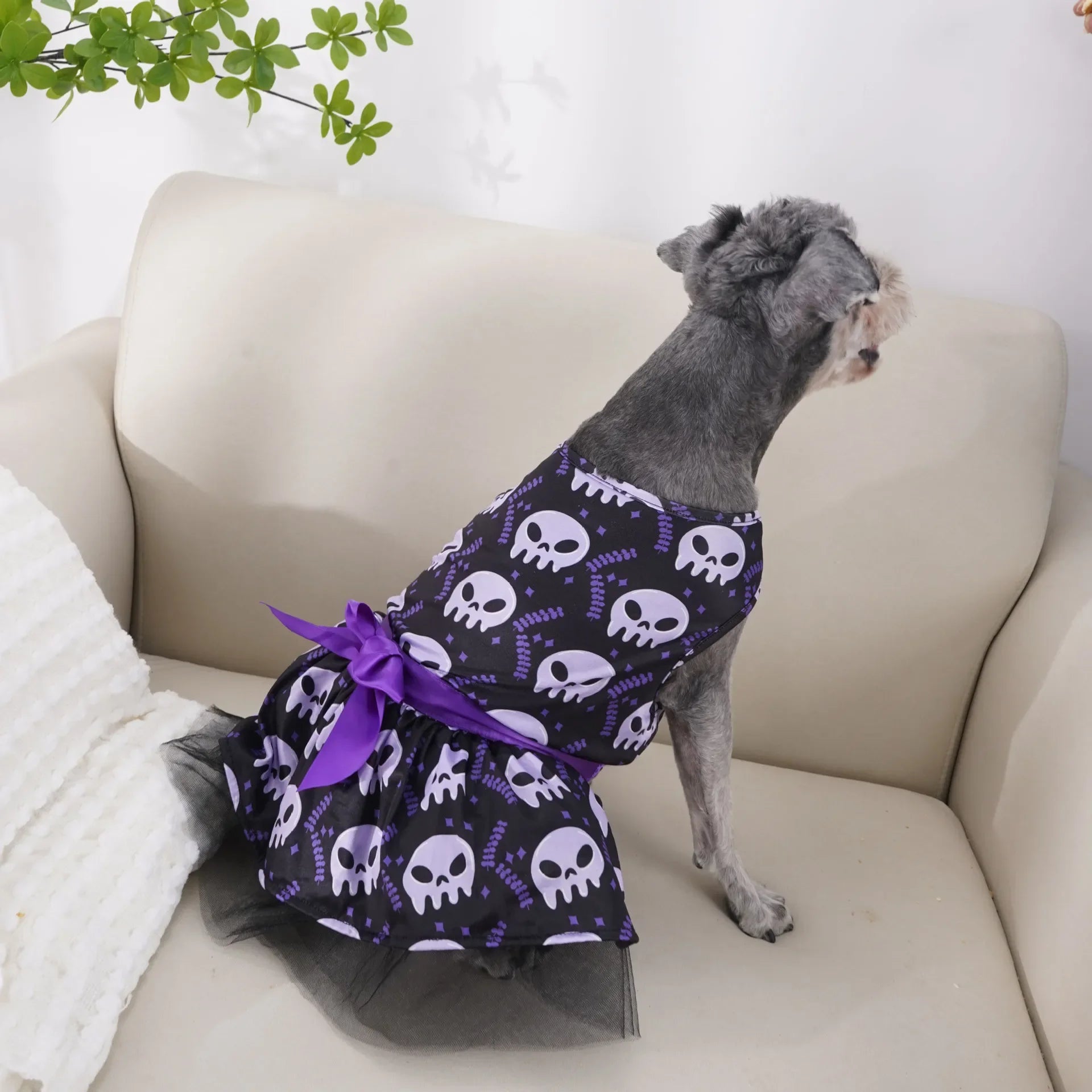 Halloween Puff Skirt for Dogs | Pumpkin & Skull Print Tutu Dress for Small & Medium Dogs S–XL