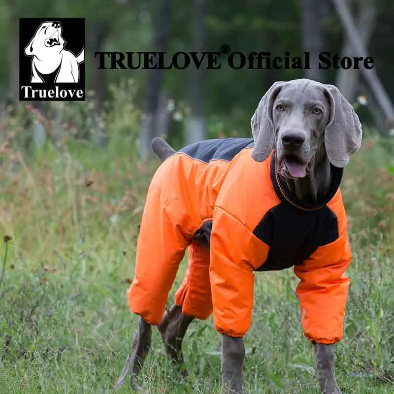 Reversible Waterproof Dog Coat - Reflective Outdoor Jacket