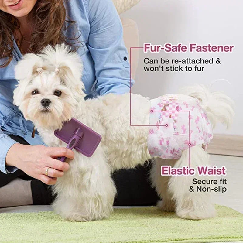 Disposable Dog Diapers — Super Absorbent Leakproof Nappies for Male & Female Dogs | 10-Pack