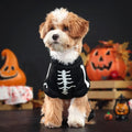 Halloween Glow Skeleton Pet Costume | Luminous Hoodie Jumpsuit for Dogs & Cats S–XL