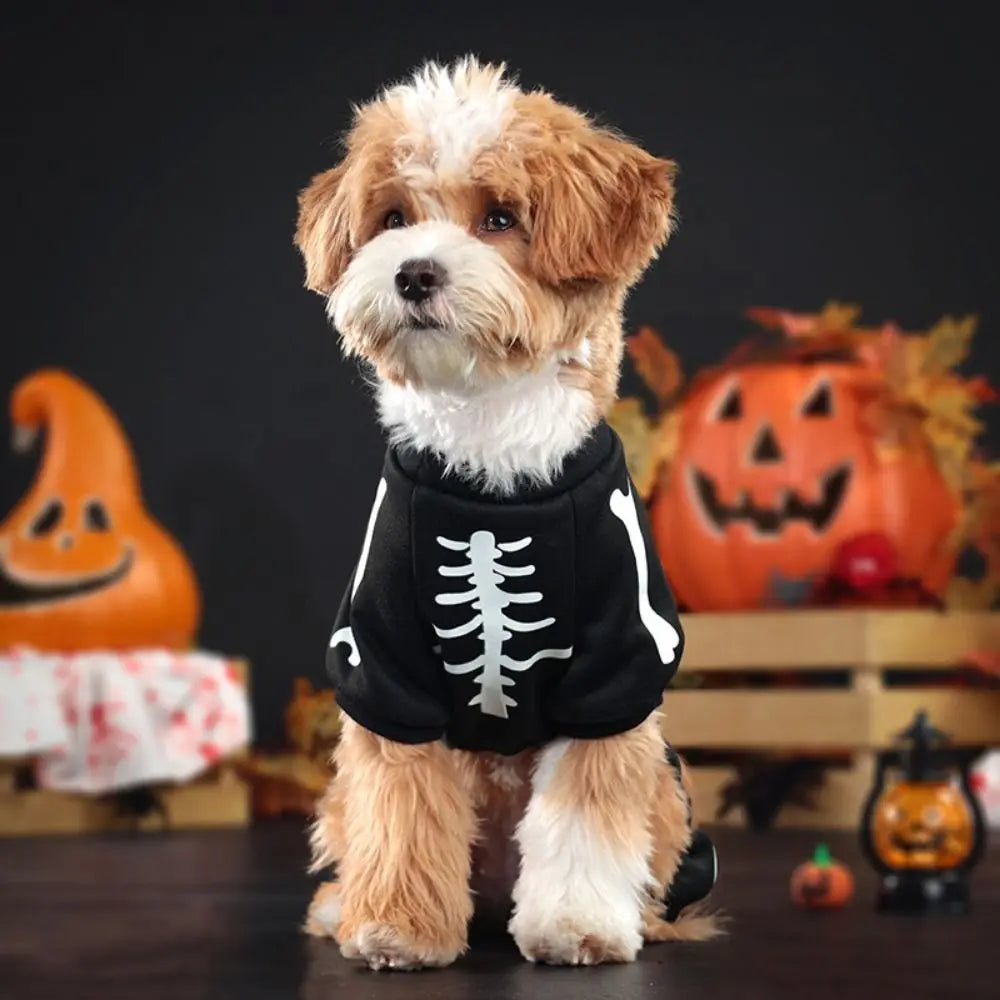 Halloween Glow Skeleton Pet Costume | Luminous Hoodie Jumpsuit for Dogs & Cats S–XL